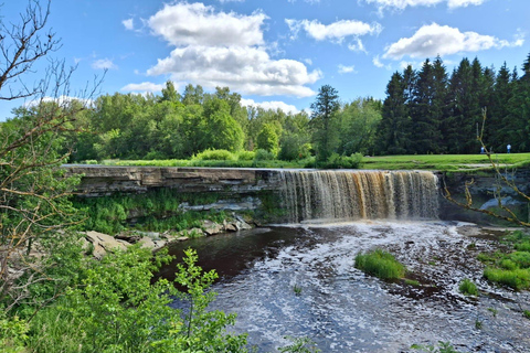 From Tallinn: Wild Swimming Trip with 4 Natural Waters