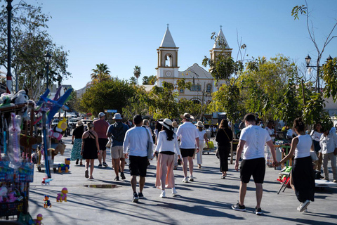 Los Cabos: San Jose del Cabo Art Walk and Beer Tasting Tour Los Cabos: San Jose del Cabo Art Walk and Beer Tasting Tour