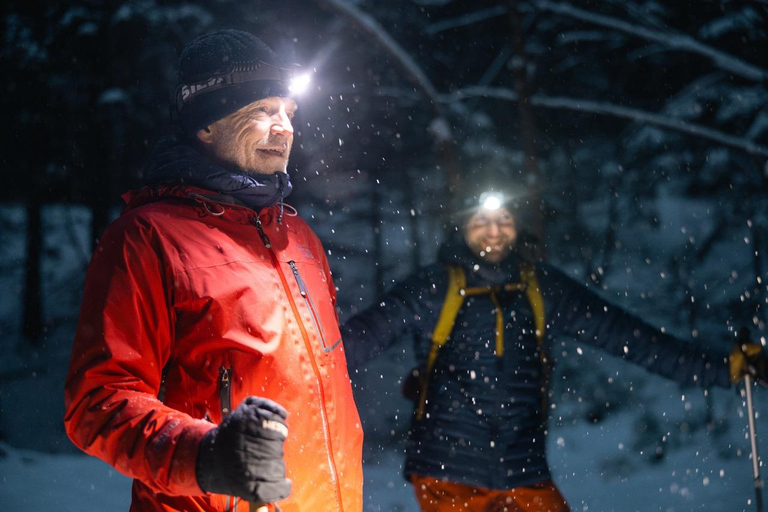 Oslo Forest: Mystery Nocturne Walk with Headlamps