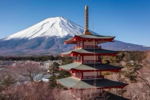 From Tokyo: Mount Fuji Full Day Private Customized Tour ITINERARY B: Mount Fuji & Hakone Customize Tour