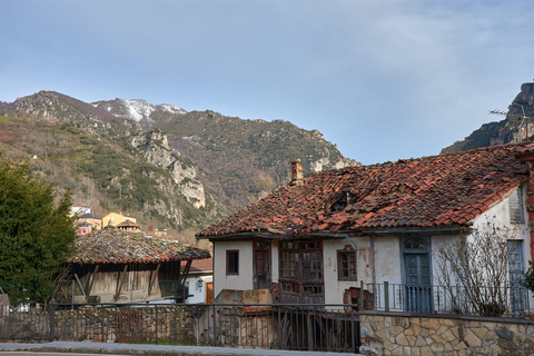 From Oviedo and Gijón: Day Trip to the Somiedo Lakes and the Senda del Oso From Gijón in Spanish: Trip to the Somiedo Lakes and Senda del Oso