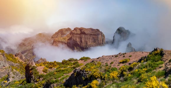Pico do Areeiro Sunrise and PR1: Guided Hiking Tour