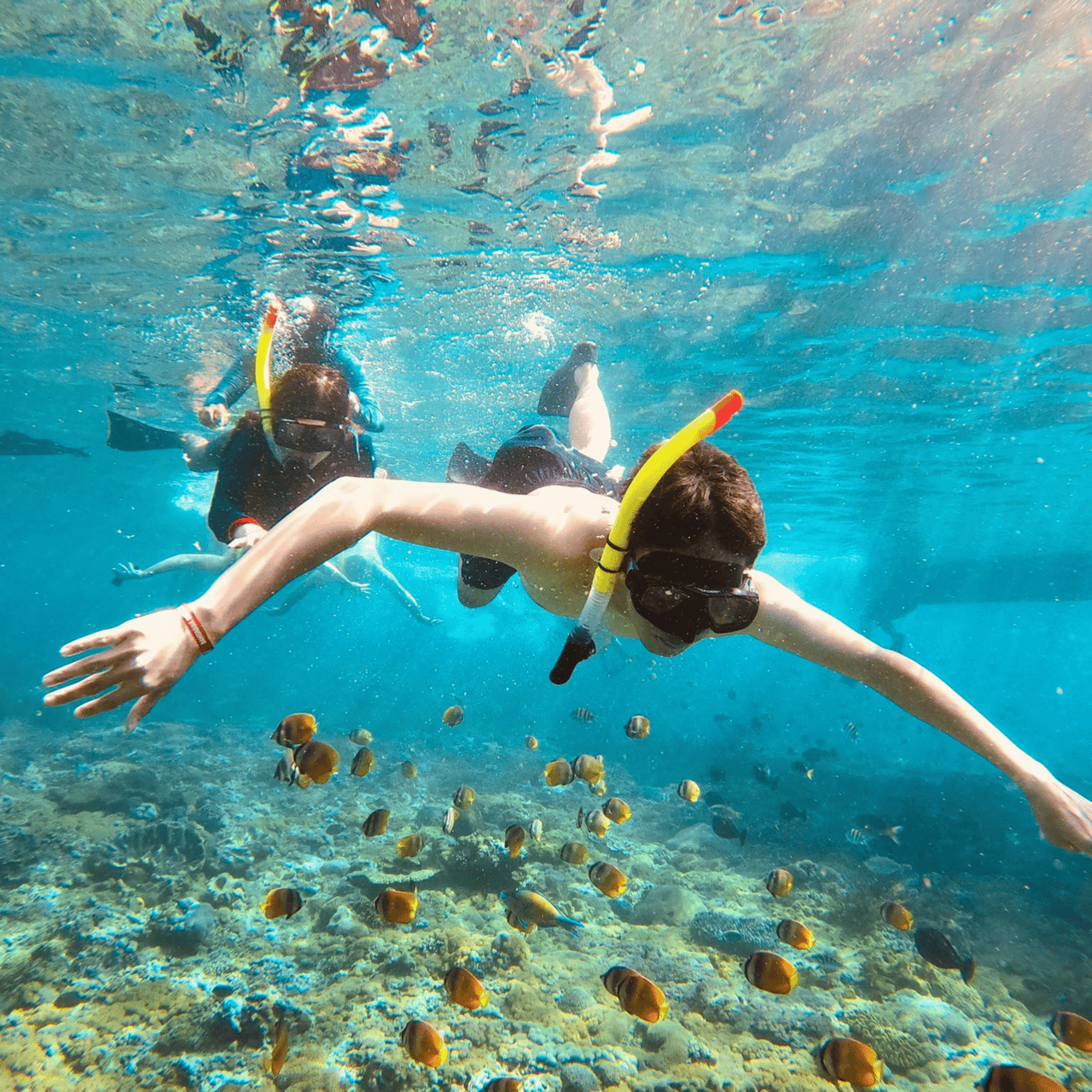 Bali: Privates Schnorcheln mit Yacht am Manta Point und 2 Spots in Penida