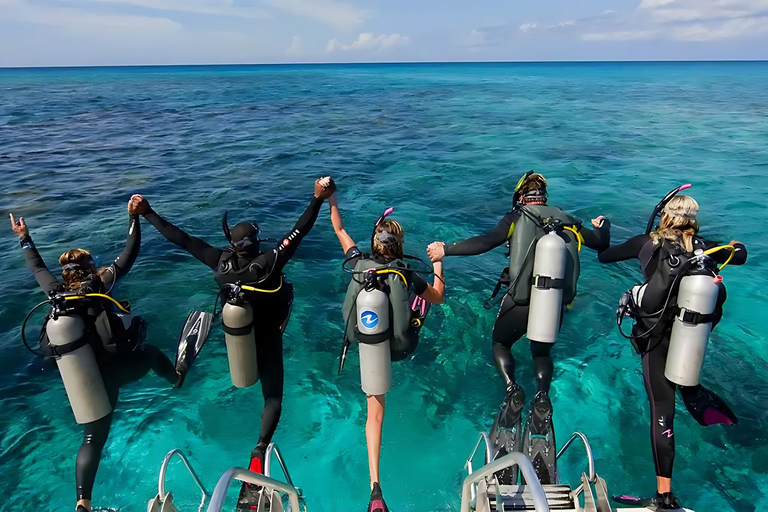 Bodrum Scuba Diving & Underwater Tour with Lunch & Pickup