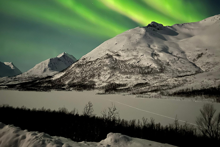 Tromsø: Private Northern Lights Chase by Mercedes V-class Tromsø: Express Private Northern Lights Chase