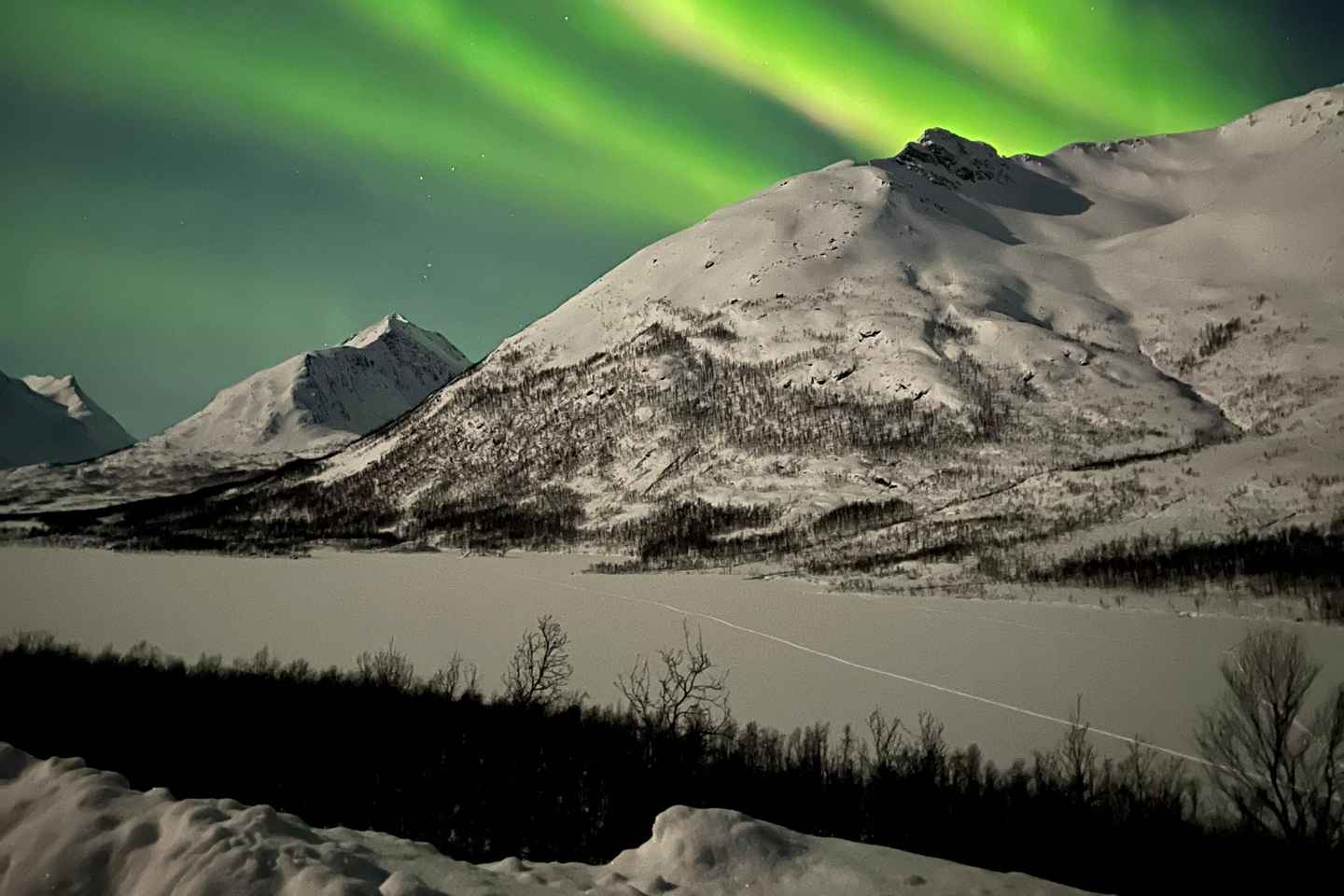 Tromsø: Private Northern Lights Chase by Mercedes V-class