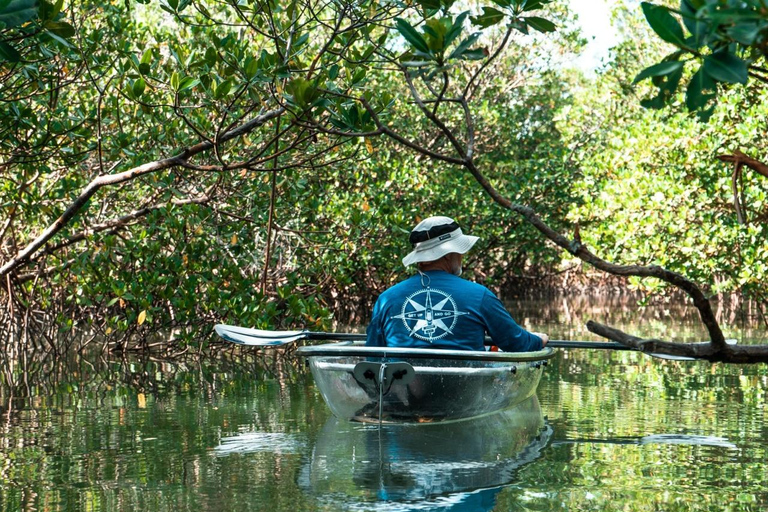 Fort Pierce: Clear Kayak Tour with Wildlife Sightings