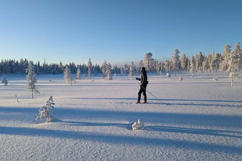Saariselkä: Excursión guiada de esquí de travesía