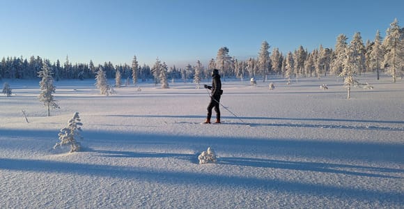 Saariselkä: Back-Country Skiing Guided Tour