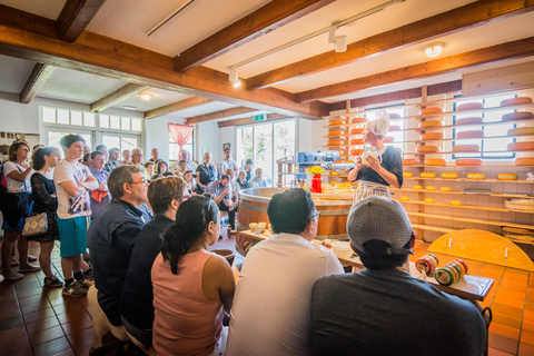 Amsterdam: Tour guidato dal vivo di Zaanse Schans e degustazione di formaggiGiro in spagnolo