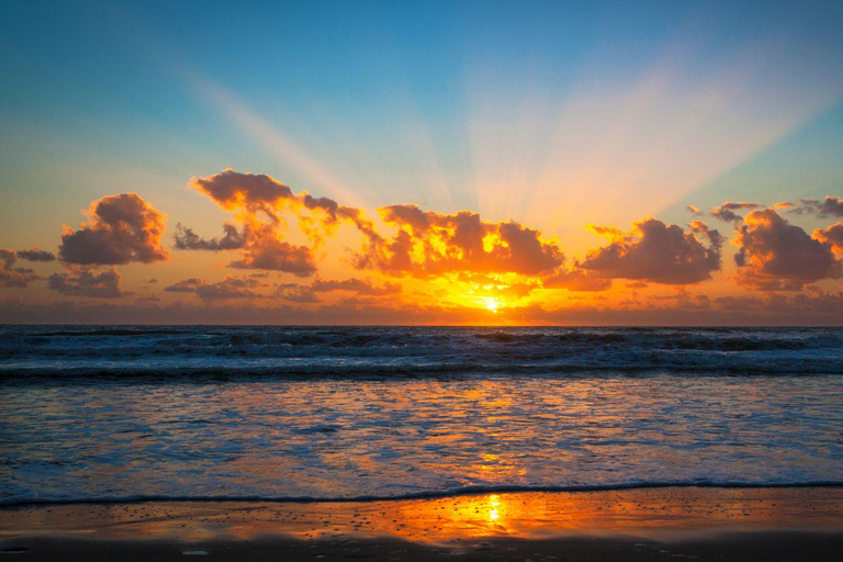 Best of Gold Coast: Private Walking Tour with a Local Private City Walking Tour - 3Hr