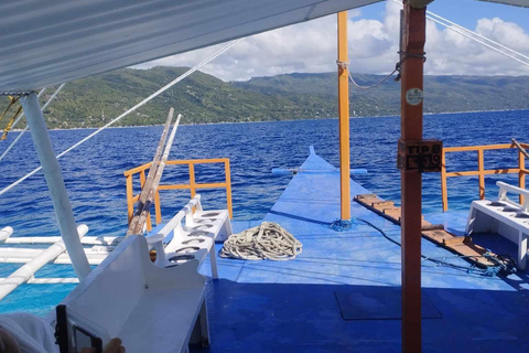 Oslob: Whale Sharks, Tumalog Falls & Sumilon Trio Adventure