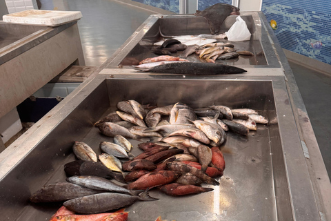 Oman: Group Muscat City Tour With Pick Up & Free Lunch Winter offers