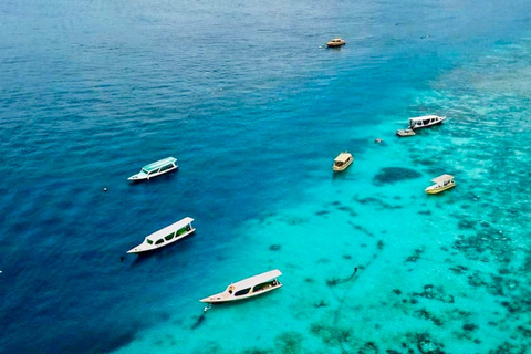 Lombok: Private Snorkeling,Gili Trawangan,Gili Meno,Gili Air Start From: Tetebatu/Lembar Port/Gili Mas Port