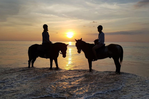 Excursion à cheval sur la plage du coucher du soleil de Phuket