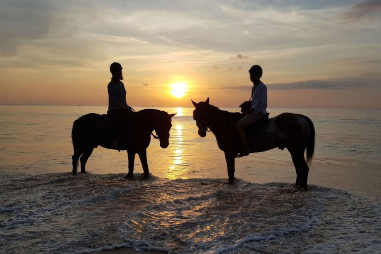 Viaje a caballo por la playa al atardecer de Phuket