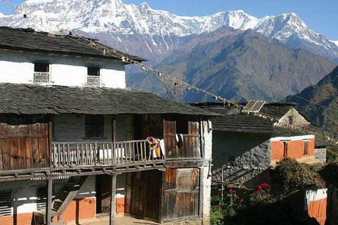 From Kathmandu To Pokhara Ac Toyota Coaster Deluxe Coach