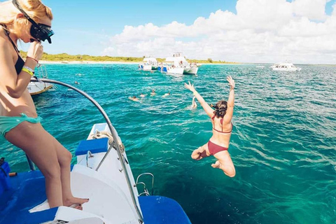 Inoubliable aventure de plongée en apnée sur l&#039;île de Catalina