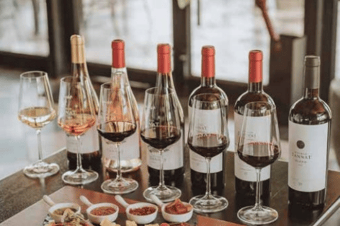From Colonia: Pueblo Tannat Winery Experience Wine & Cheese Tasting