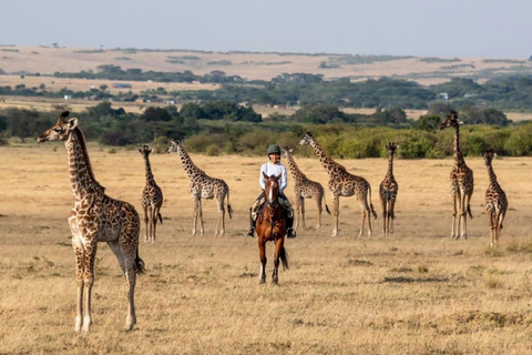 Maasai Mara: Highlight Safaris and exclusive game drives