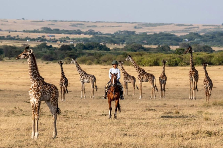 Maasai Mara: Highlight Safaris and exclusive game drives