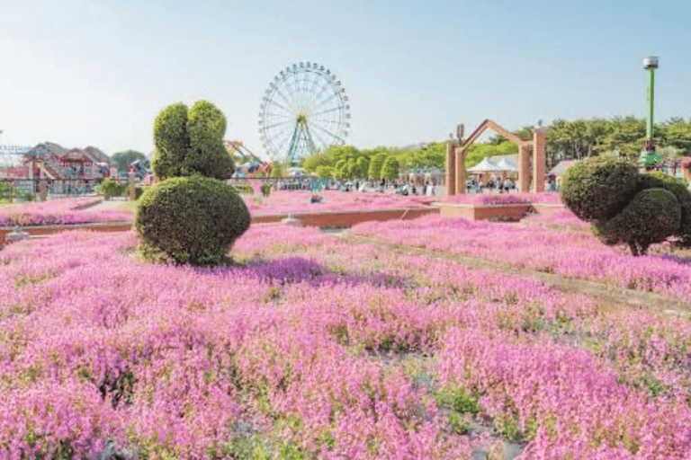 From Tokyo: Ashikaga Flower Park Day Trip with English Guide Ashikaga Full Day Private Customized Tour With English Guide