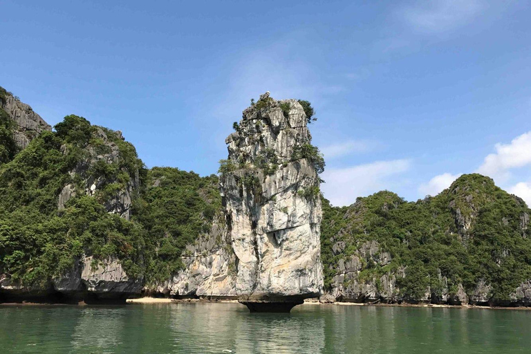 1 Day Ha Long & Ti Top Island on 3* Cruise Round Trip Transfer from Hanoi Included - Normal Bus