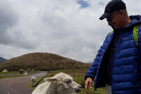 Aventure d&#039;observation du condor : Circuit au départ de Quito