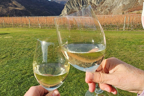 Queenstown: Winery Loop by Ebike & Take-Home Bottle of Wine