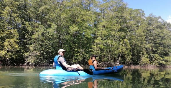 Manuel Antonio: Kayak Tour in the Mangroves to see animals