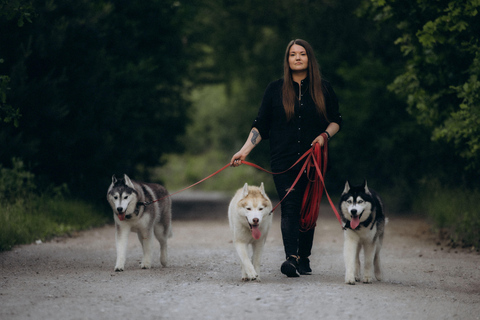 Near Warsaw: Spend Time with Three Adventurous Huskies