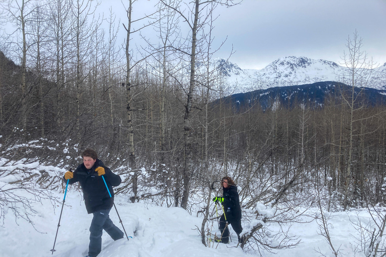 Guided Snowshoeing Adventure from Seward, Alaska 6-Hour Tour