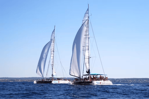 From Palma de Mallorca: 3.5-Hour Catamaran Cruise with Tapas and a Swim