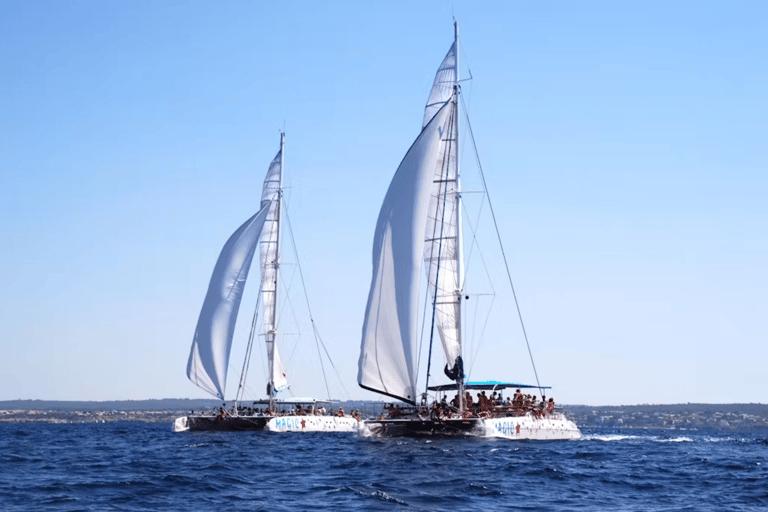 From Palma de Mallorca: 3.5-Hour Catamaran Cruise with Tapas and a Swim