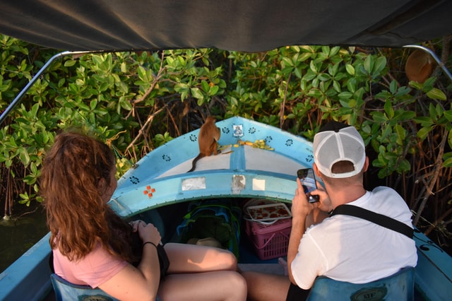 Negombo: Lagunensafari bei Sonnenuntergang mit Fischern und Wildtieren