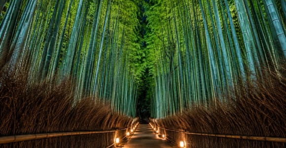 Kyoto: Fushimi Inari and Arashiyama Night Walking Tour
