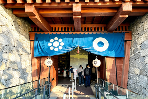 Fukuoka: Mt. Aso, Minamiasu Railway & Kumamoto Castle Tour