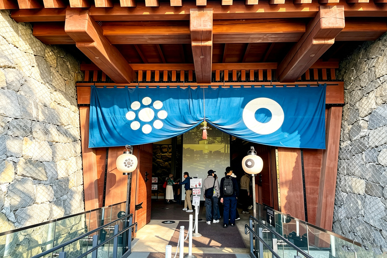 Fukuoka: Mt. Aso, Minamiasu Railway & Kumamoto Castle Tour