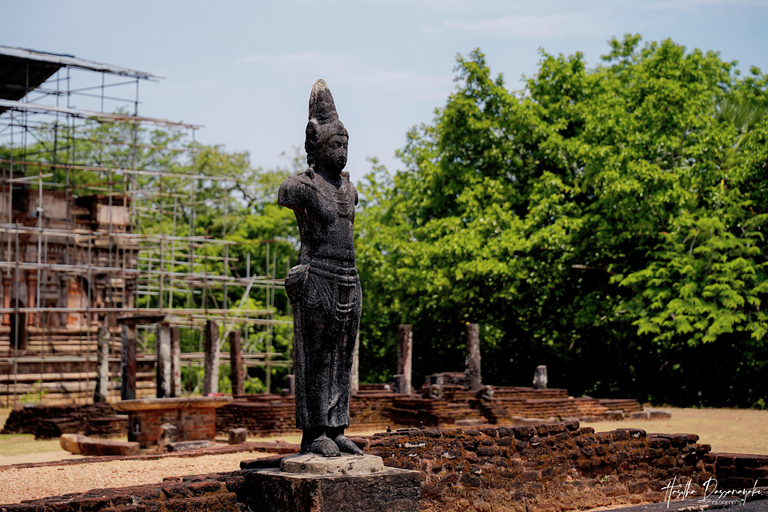 Polonnaruwa: Ancient City Tour & Minneriya Elephant Safari Pickup From Dambulla/Sigiriya/Habarana