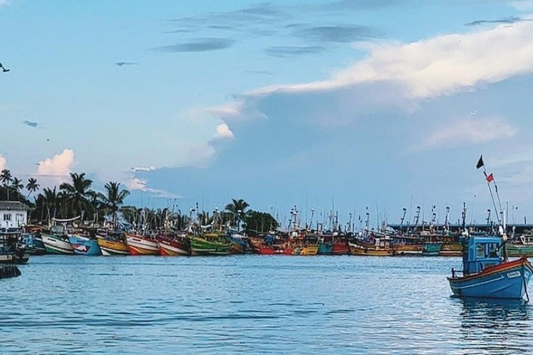 Mirissa: Whale & Dolphin Watching Cruise with Geeth’s Crew