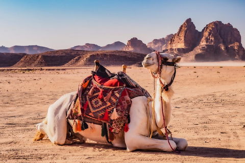 From Amman and Dead Sea: Petra and Wadi Rum 3 Day TourFrom Amman