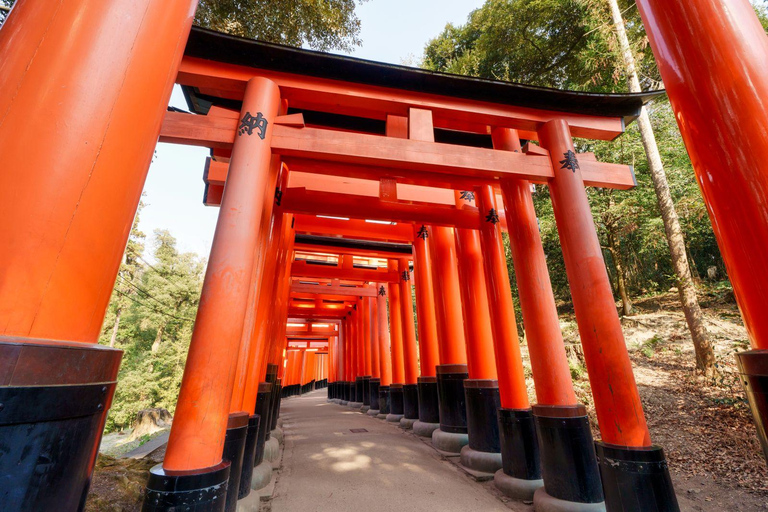 Osaka: Kyoto Private Day Tour