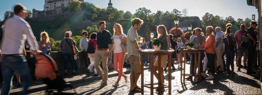 Würzburg : Visite guidée avec vin de Franconie