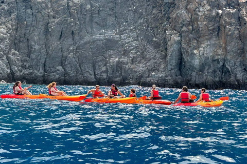 Tenerife: Kayak & Snorkeling, Turtles & Dolphins Watching Tenerife Kayak Ecotour 3 hours: Snorkeling & Turtle Watching