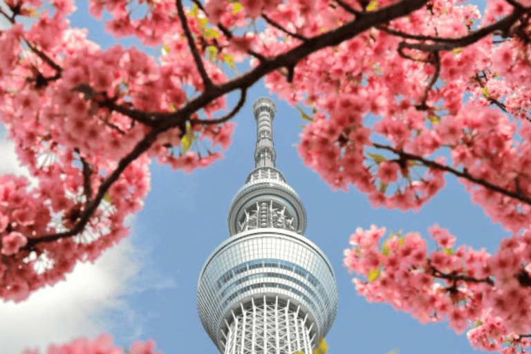 Tokyo: Tour privato di un giorno intero della città di Tokyo Luoghi da vedere assolutamente