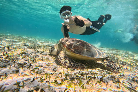 Gili Islands: Private Snorkeling Tour with Turtles & Statues