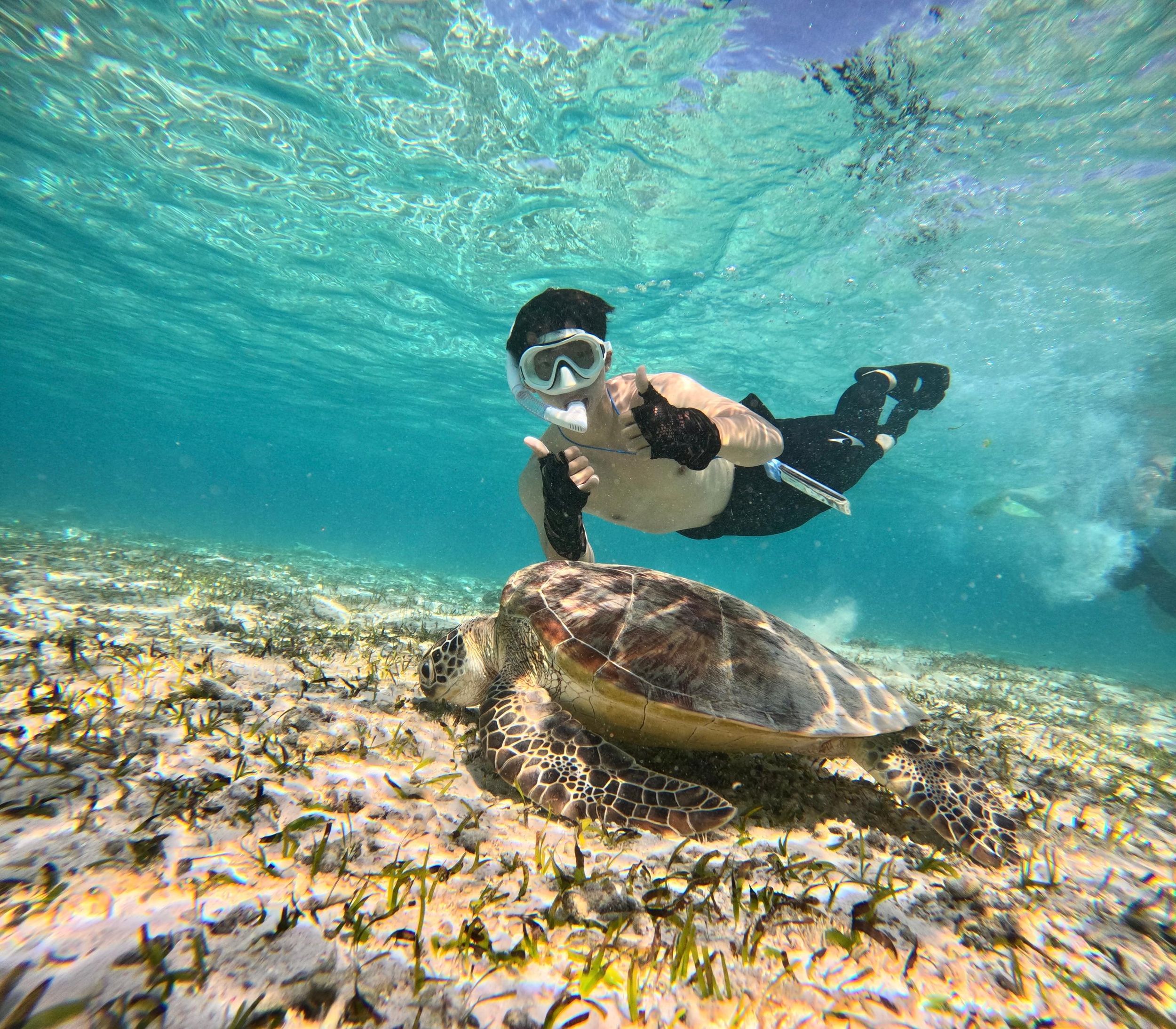 Gili Inseln: Private Bootstour zum Schnorcheln mit ortskundigem Guide