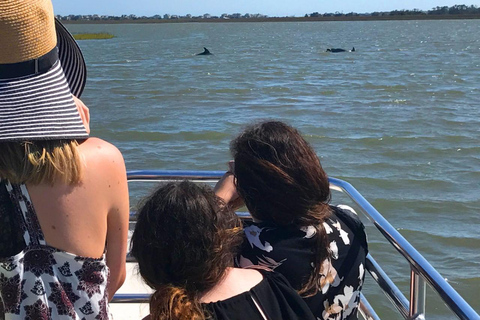 Charleston : Tour en bateau écologique du phare de Morris Island