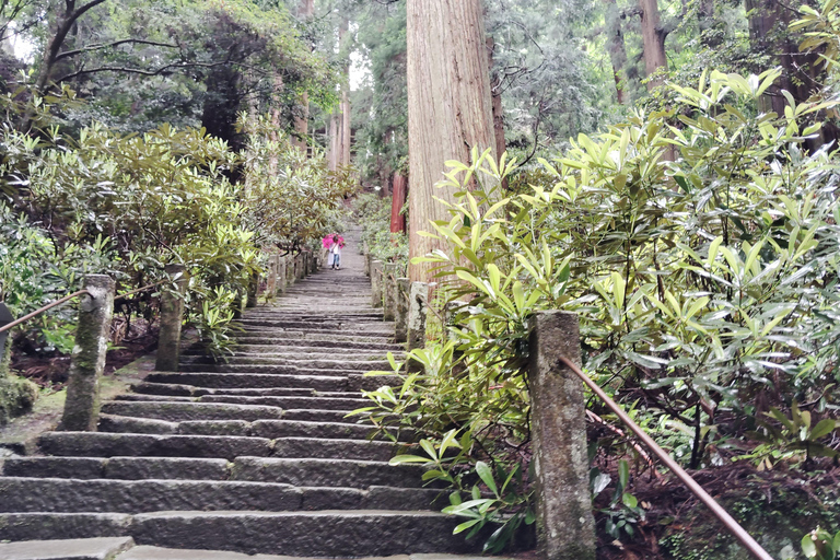 Nara: Muro-ji Temple – Serenity, Tradition and Sacred Beauty