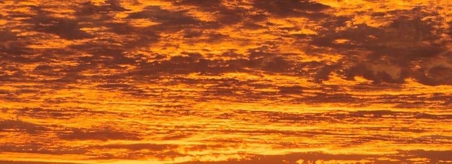 Daytona Beach : croisière fluviale au coucher du soleil et observation des dauphins